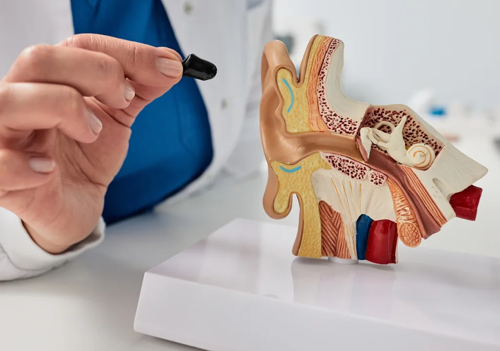 Close up of the hand of hearing care specialist holding an invisible-in-canal (IIC) hearing aids, invisible hearing aid example